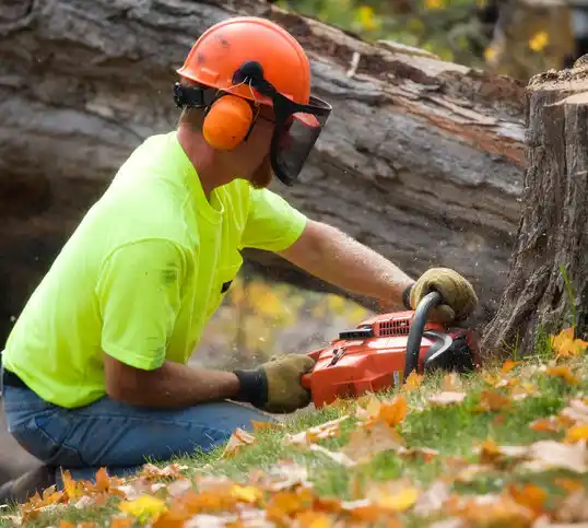 tree services Fowlerville